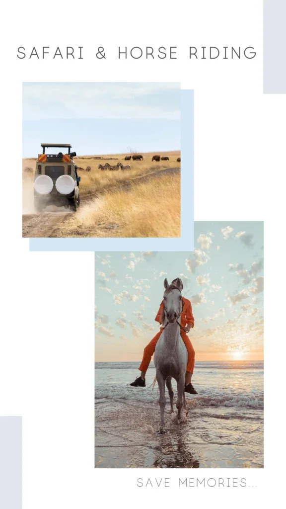 Safari Horse Riding