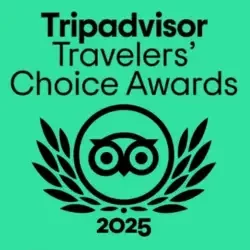 TripAdvisor logo