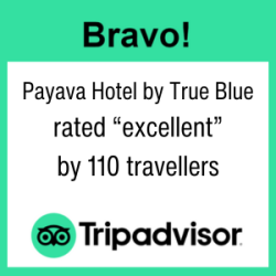 tripadvisor_110